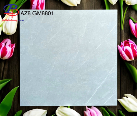 G8080-AZ8-GM8801