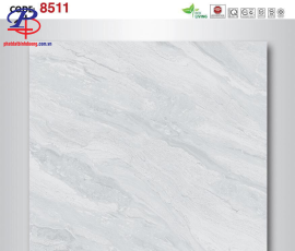 G8080-BD8511