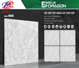 G8080-BD8556