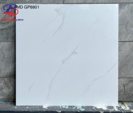 G8080-GP8801