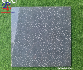 G8080-HT-P8804