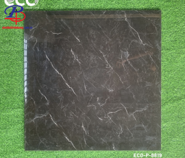 G8080-HT-P8819