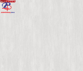 G8080-PE33301