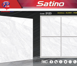 G8080-STN2123