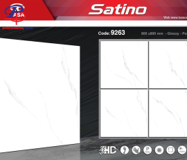 G8080-STN9263