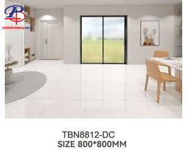 G8080-TBN8812DC
