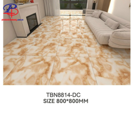 G8080-TBN8814DC