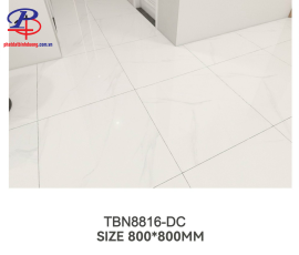 G8080-TBN8816DC