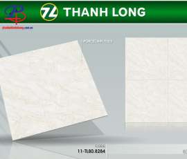 G8080-TL8284