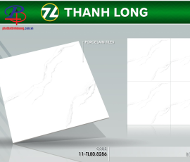 G8080-TL8286