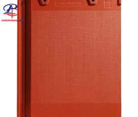 NF 02