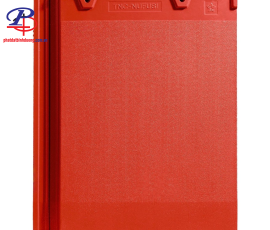 NF 03