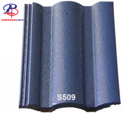 S509