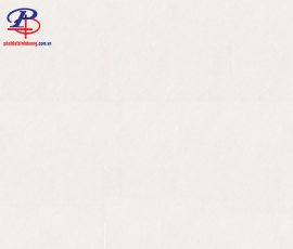 G8080-P87413N
