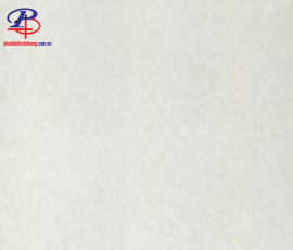 G8080-P87702N
