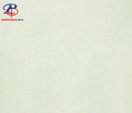 G8080-P87703N