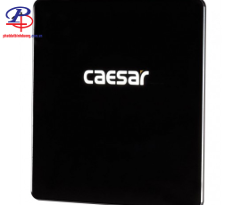 Bộ Xả Tiểu Cảm Ứng Caesar A654 Âm Tường