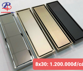 Thoát sàn Inox 304 (80x300)