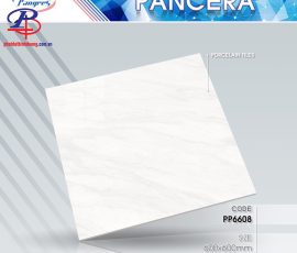 G6060-PP6608