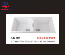 Chậu Chén CĐ - 09