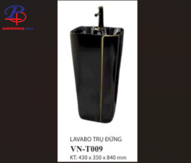 Tiểu Nam VN-T009