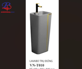 Tiểu Nam VN-T010