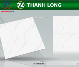 G8080-TL8288