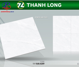 G8080-TL8289