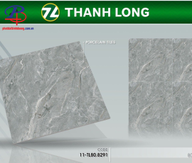 G8080-TL8291
