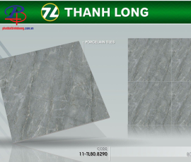 G8080-TL8290