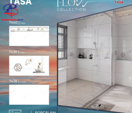 gạch ốp tường 3060 Tasa - Công Ty Phát Đạt1