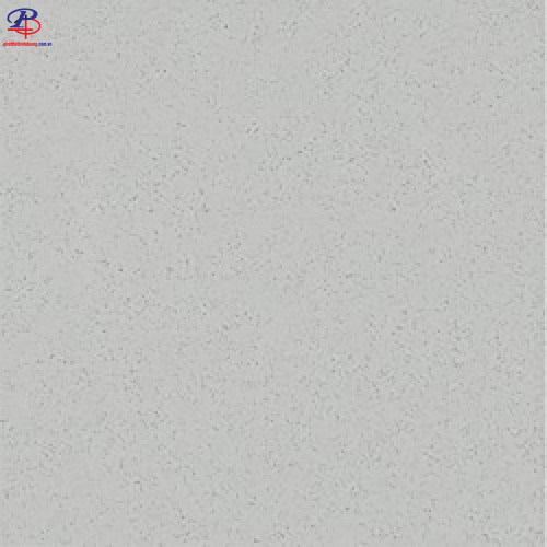 G6060-P67008N