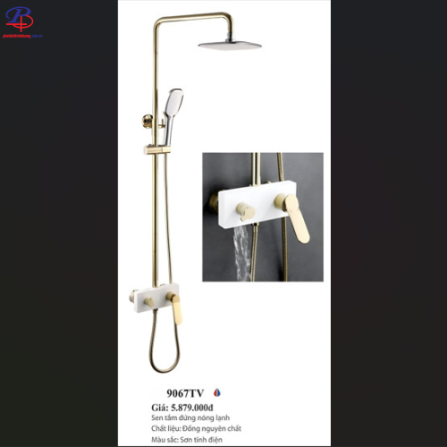 SEN CÂY NÓNG LẠNH CAO CẤP LI-9067TV