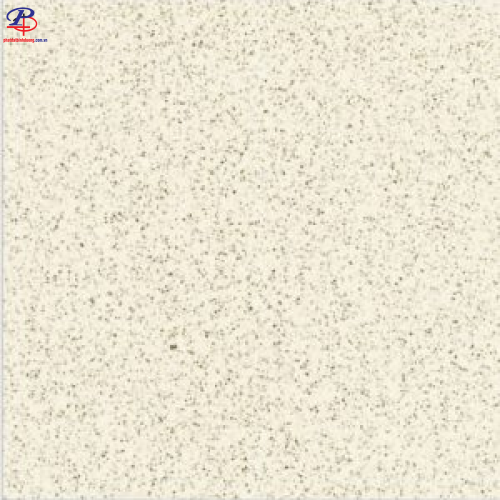 G4040-CTS4438