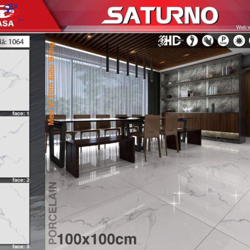 G100100-SA1064
