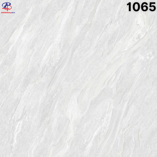 G100100-SA1065