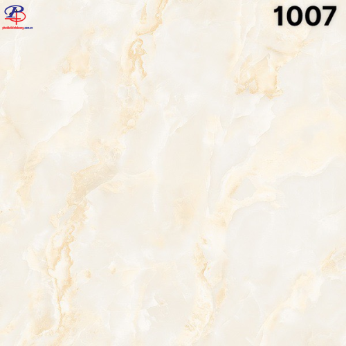 G100100-SA1007