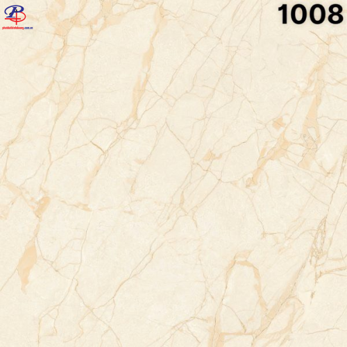 G100100-SA1008
