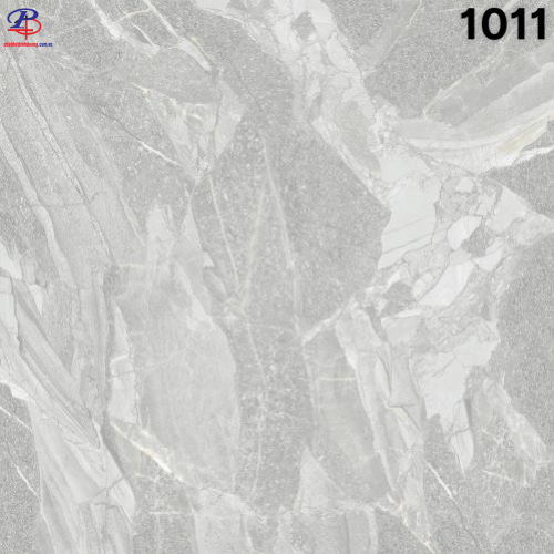 G100100-SA1011