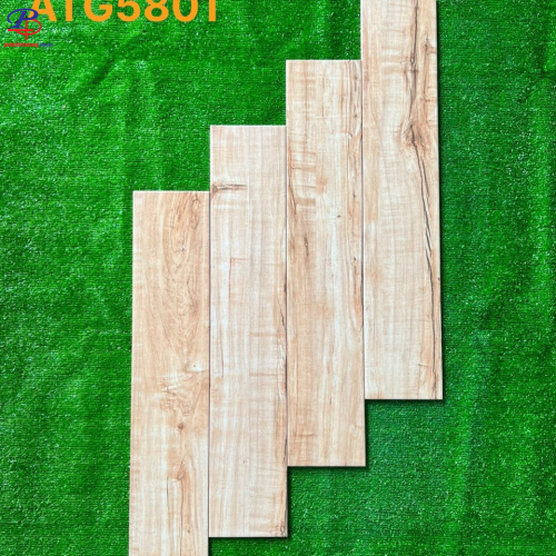 G1580-ATG5801