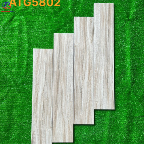 G1580-ATG5802