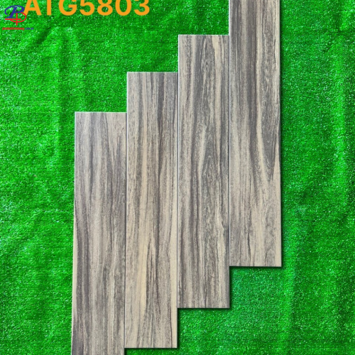G1580-ATG5803