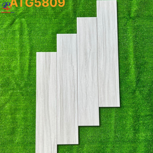 G1580-ATG5809