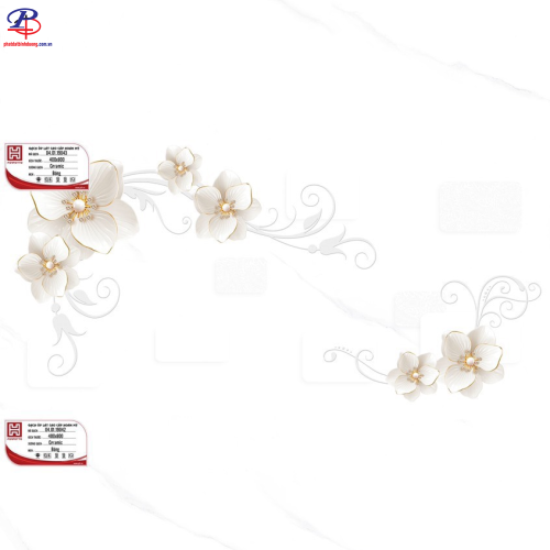 G4080-PE19042-19043-19044