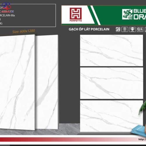 G60120-BD03800