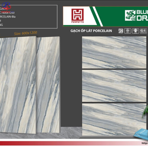 G60120-BD30804