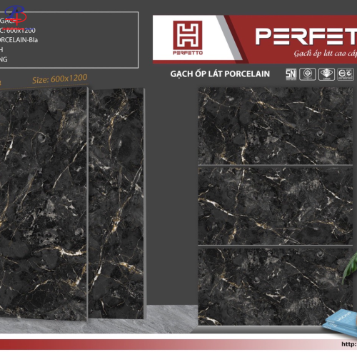 G60120-PE30054