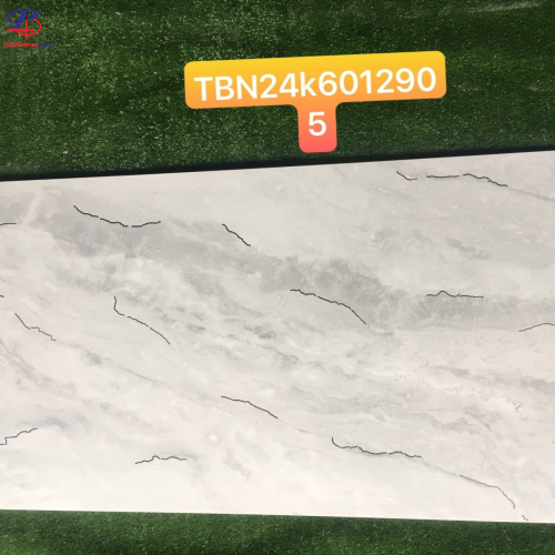 G60120-TBN6012905