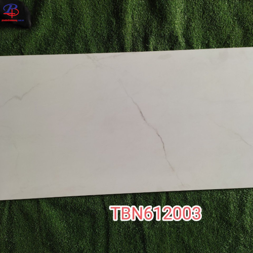 G60120-TBN61203DC