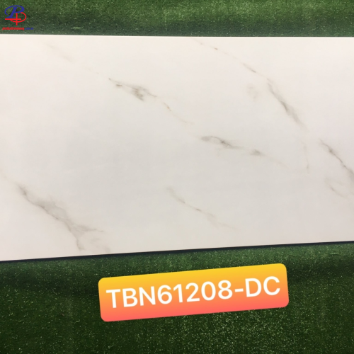 G60120-TBN61208DC